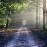 環境ポスターの書き方とは？